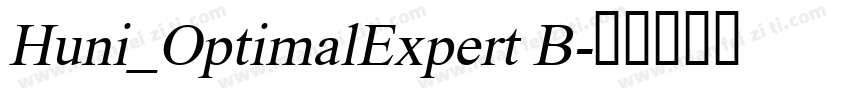 Huni_OptimalExpert B字体转换
